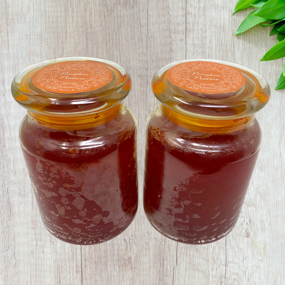 Lot 2 NEW Pumpkin Praline 22 oz Jar Candles MVP Group Farmhouse Fall Scent